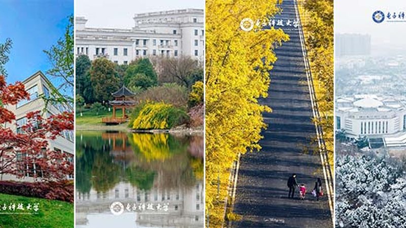 连接器型号揭秘：参数背后的技术密码