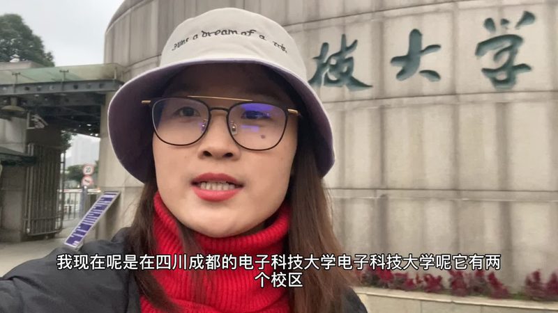 芯片价格差异背后的性能解析