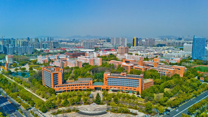 电子设计定制：优缺点解析